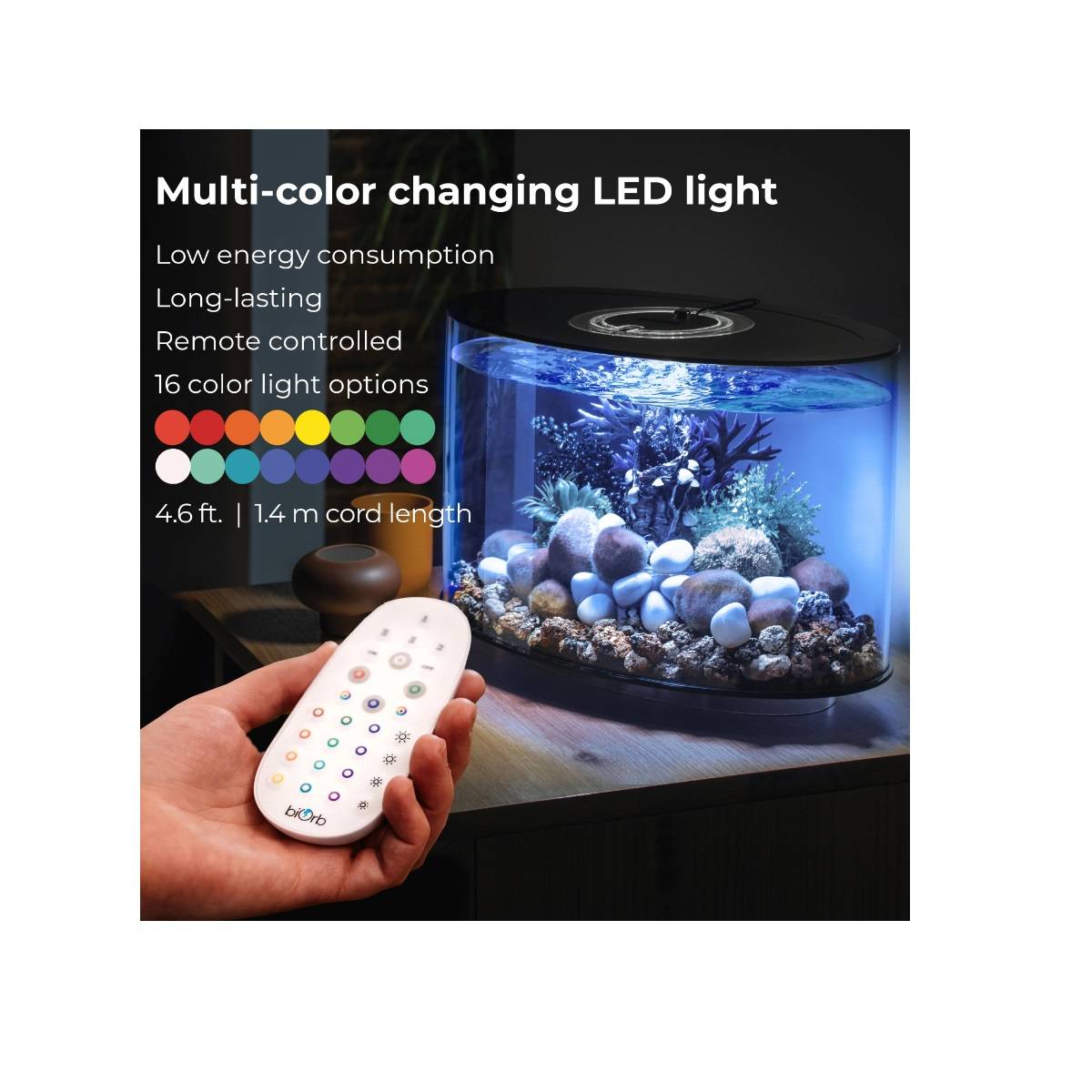 Oase - Aquarium long 15l contours blanc LOOP 15 MCR WHITE Oase - Image 5