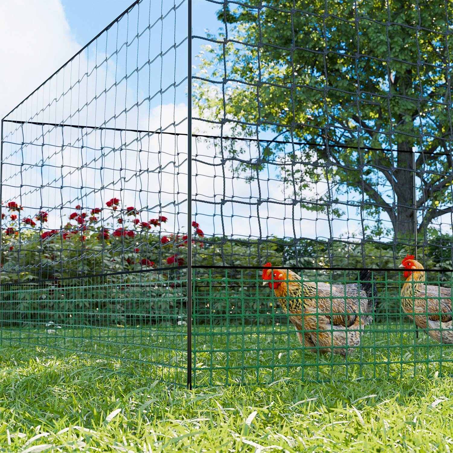sweeek - Filet clôture 50 m pour poules avec 14 piquets double pointe, porte intégrée et sardines – Sweeek - Image 1