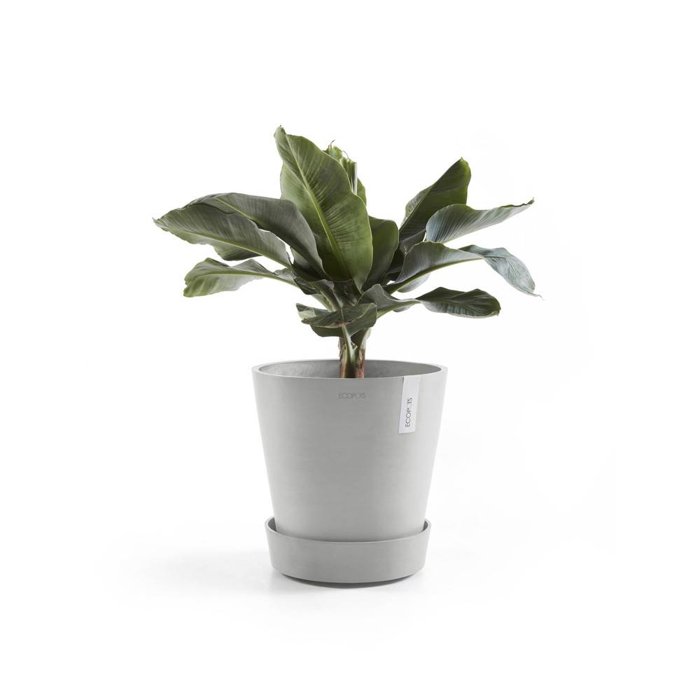 Ecopots - Support à roulettes Wheels 30 Blanc Gris - Ø 28,7 x H. 8,3 cm ECOPOTS - Image 3