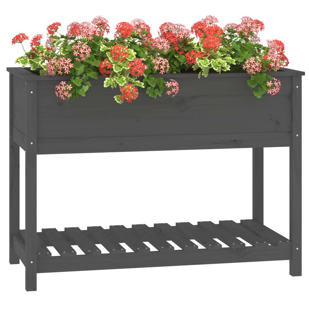 Jardinière - Bac à fleurs - Pot de fleurs avec étagère Gris 111,5x54x81 cm Bois massif de pin - Image 4