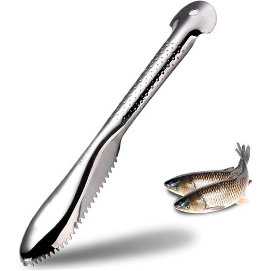 Grattoir À Écailles De Poisson Inox - Image 1