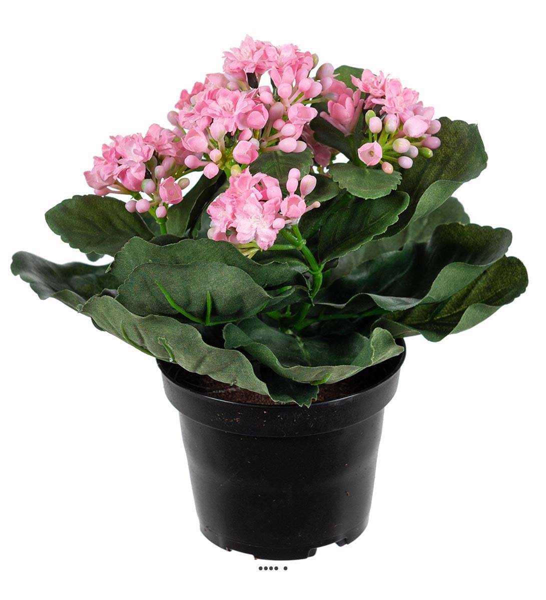 Artificielles - Kalanchoé artificiel en pot H 20 cm adorable et très dense Rose - couleur: Rose - Image 1