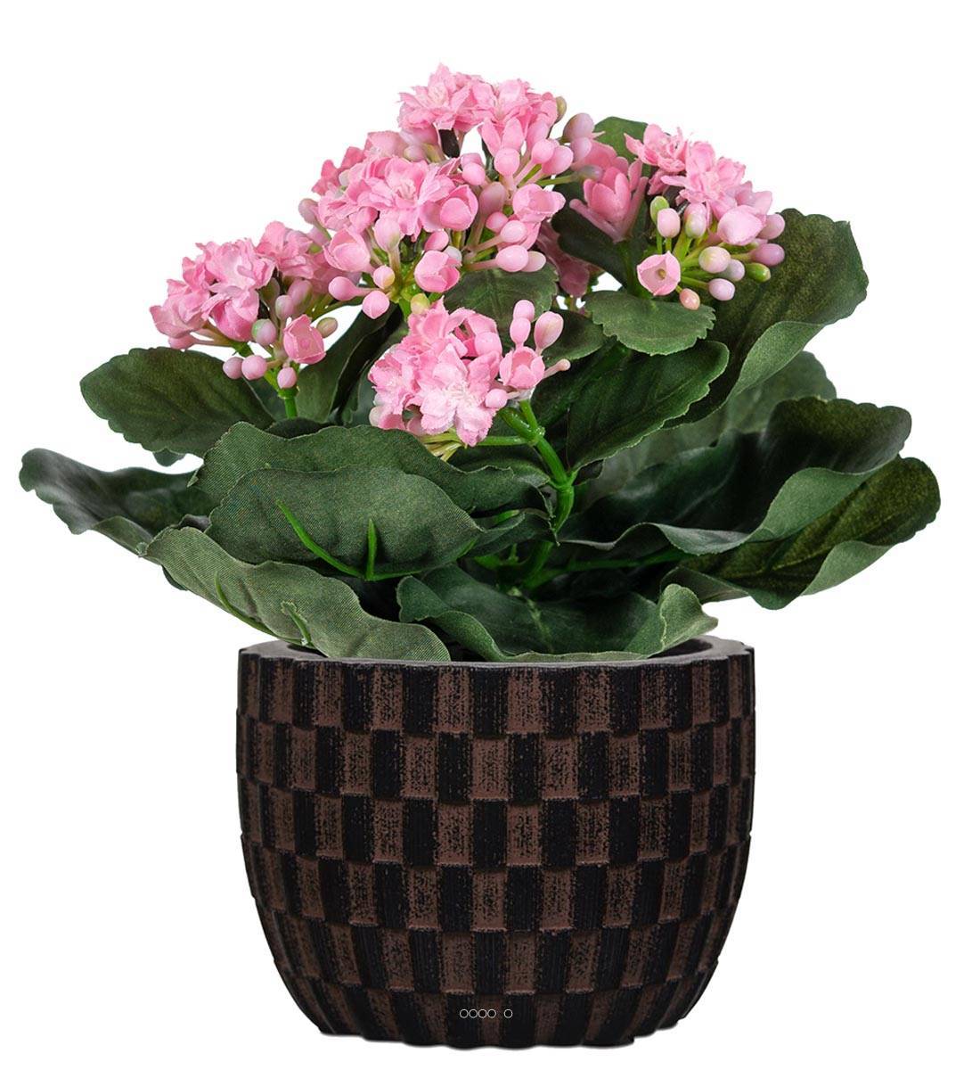 Artificielles - Kalanchoé artificiel en pot H 20 cm adorable et très dense Rose - couleur: Rose - Image 2