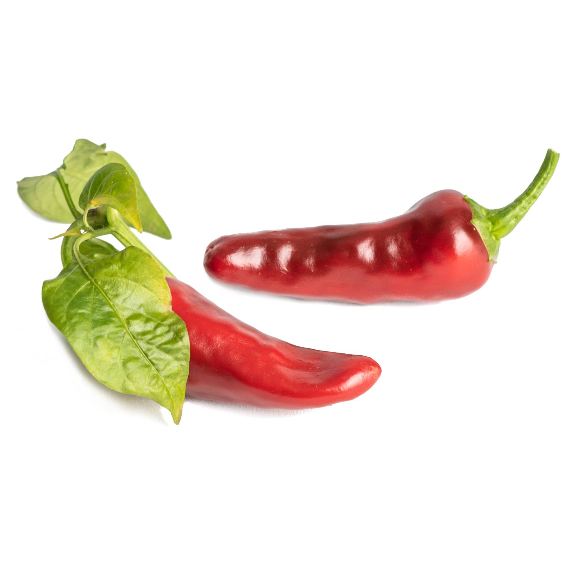 Veritable - Lingot Piment d'Espelette - Recharge prête à l'emploi - Véritable - Image 2