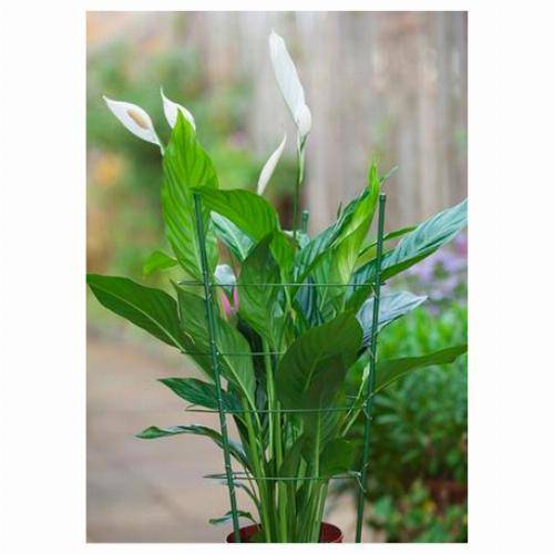 Tuteur en cône pour fleurs - Support robuste H90 cm - Image 1