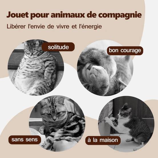 Oiseau Volant pour Chat Jouet, Jouet Chat Interactif - Image 3