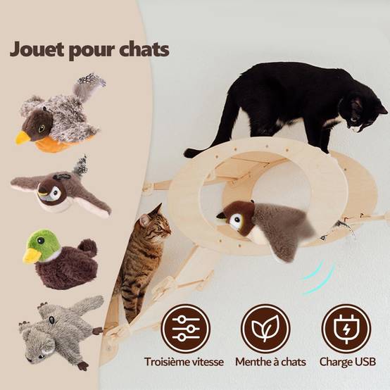 Oiseau Volant pour Chat Jouet, Jouet Chat Interactif - Image 2