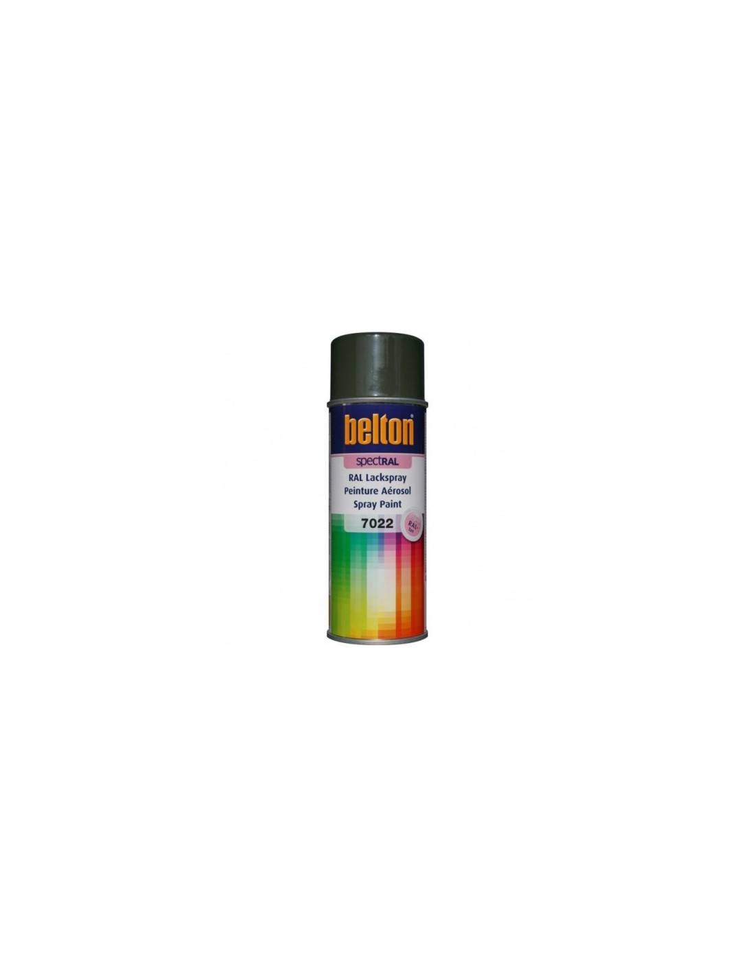 Peinture Aérosol Gris Ombre Brillant Finition Brillante Ral 7022 Pour Métaux - Générique
