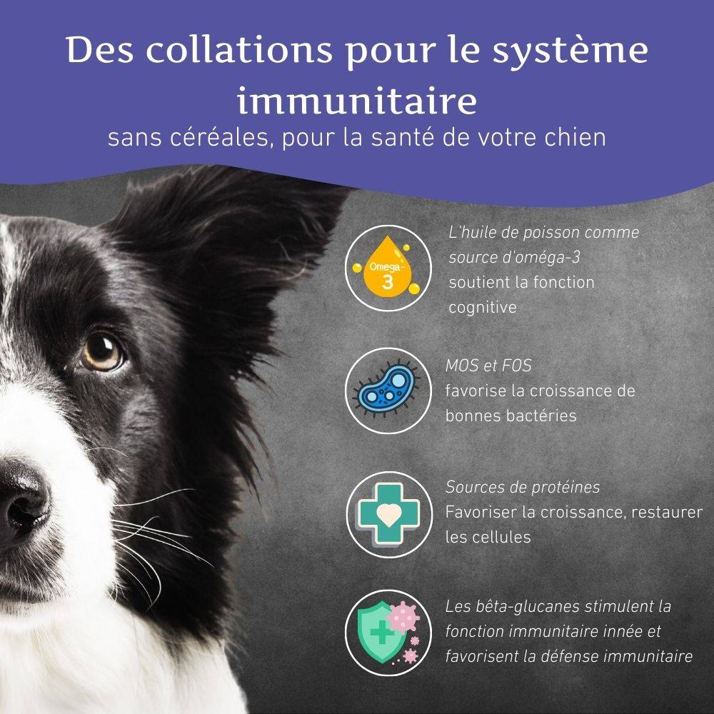 Wildfang - Wildfang® - Forfait Promenade du Soir - pour chiens de grande taille de plus de 25 kg - Image 9