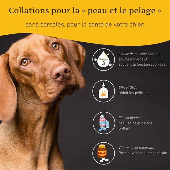 Wildfang - Wildfang® - Forfait Promenade du Soir - pour chiens de grande taille de plus de 25 kg - Image 7