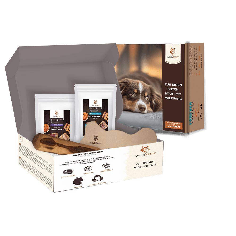 Wildfang - Wildfang® - Forfait Promenade du Soir - pour chiens de grande taille de plus de 25 kg - Image 1