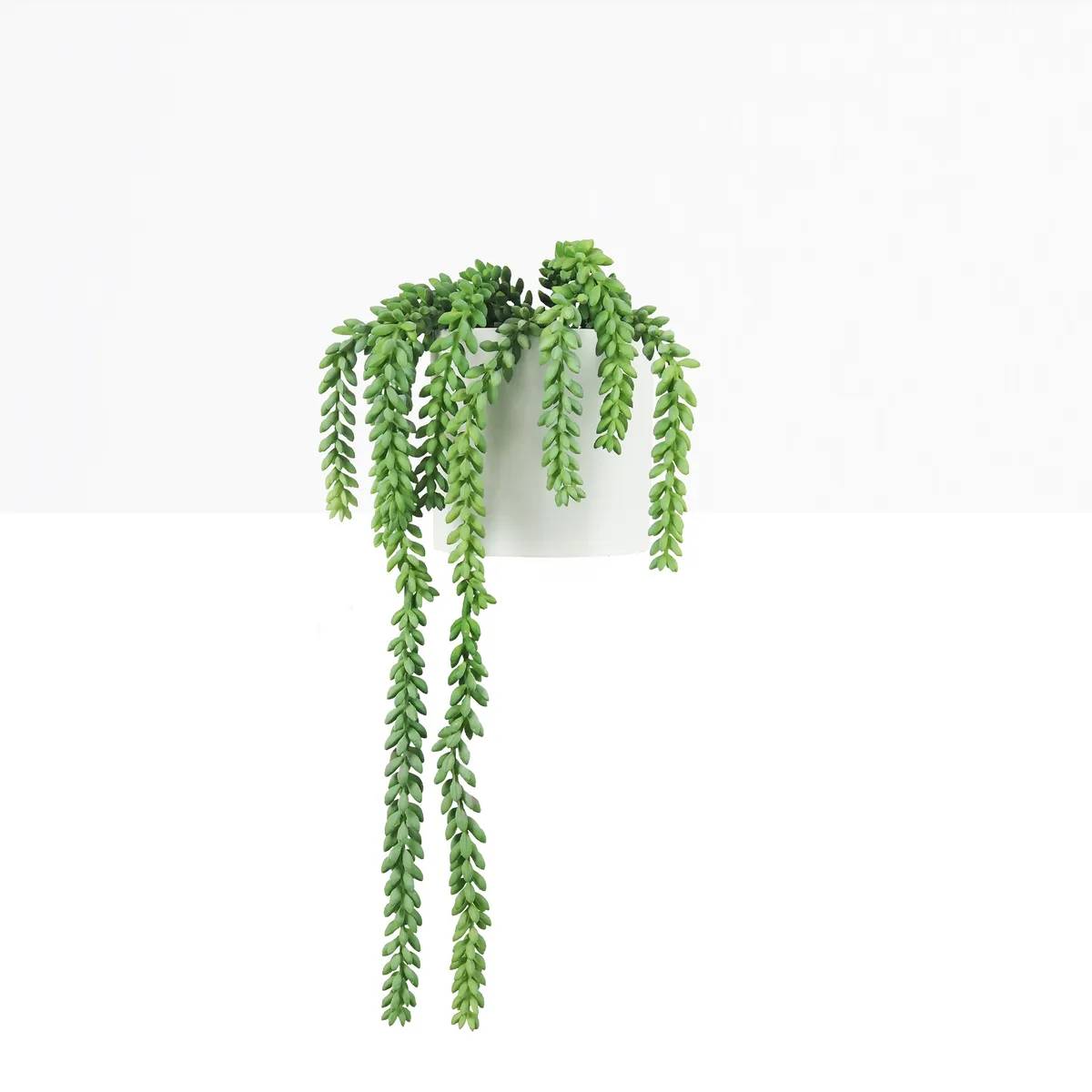 Ligne Deco - Plante succulente retombante artificielle 44cm - Image 2