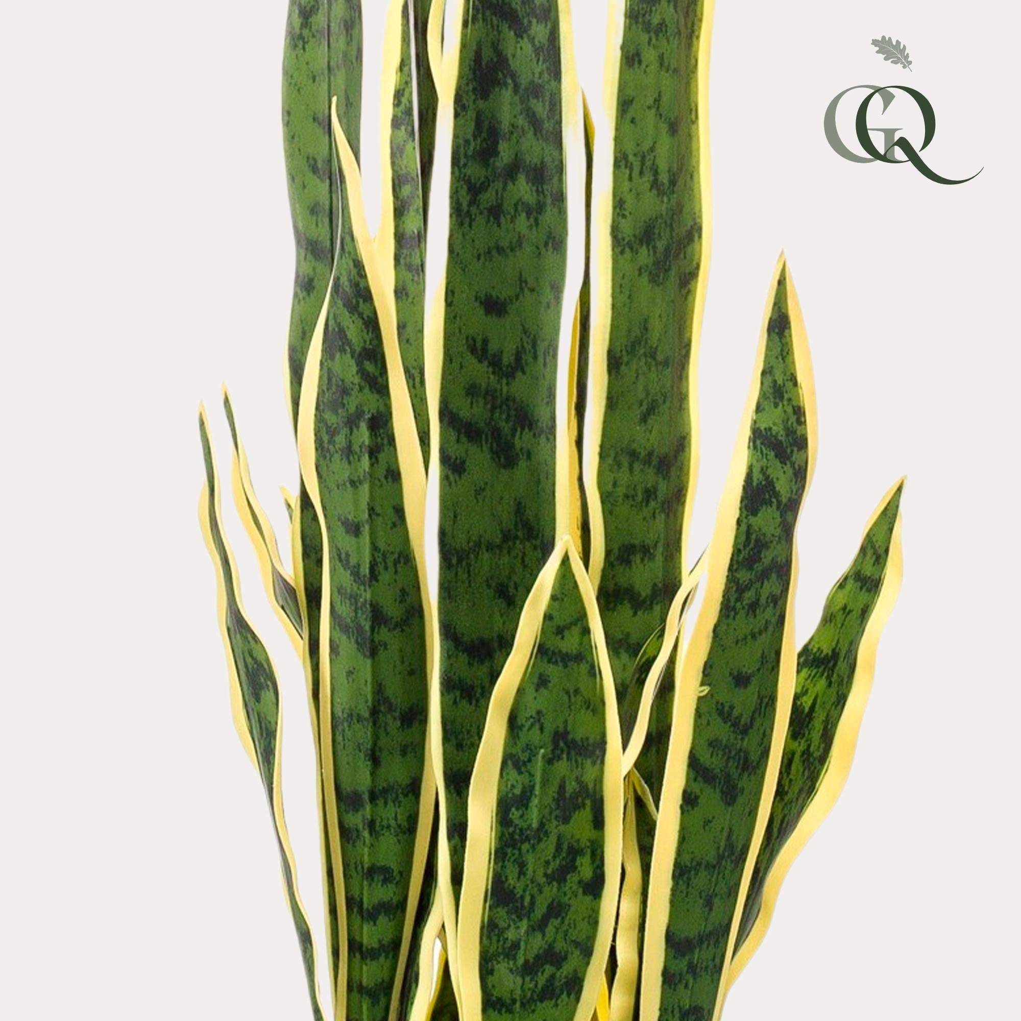 La Green Touch - Sanseveria Trifasciata plante artificielle - h97cm, Ø12cm- La Green Touch - Image 2