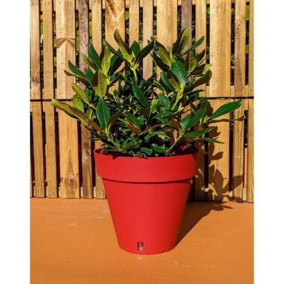 Riss - Bac A Fleurs Rond Riviera Loft - Plastique - Diametre 40 Cm - Rouge - Image 2
