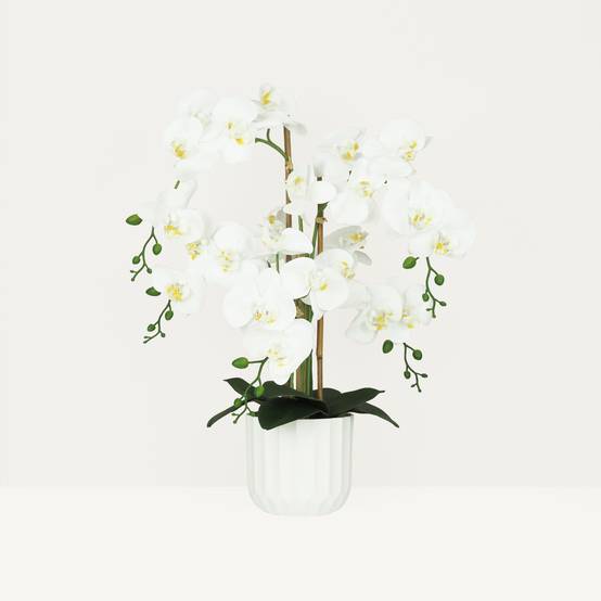 Ligne Deco - Orchidée artificielle toucher naturel 60cm Ligne Déco - Image 1