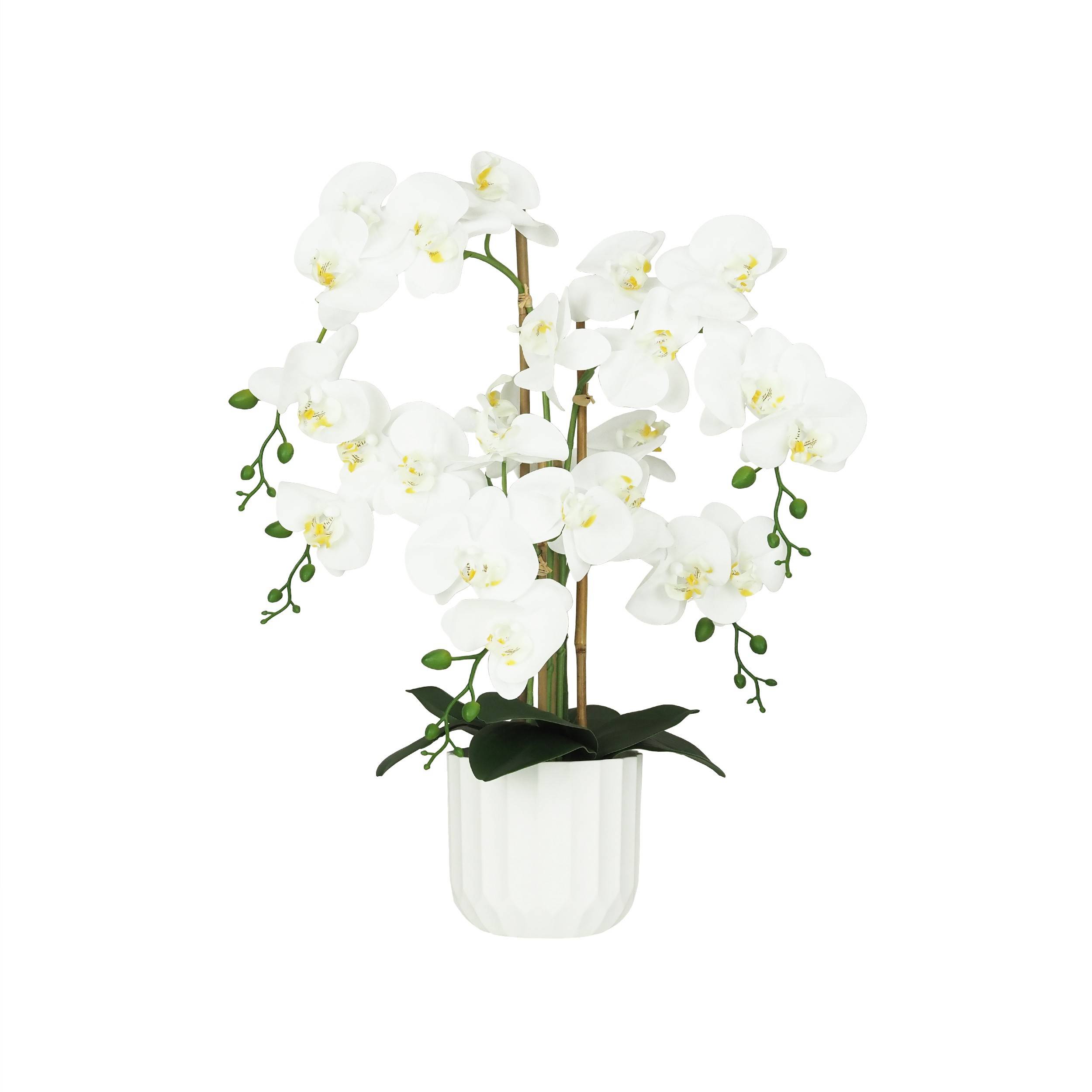 Ligne Deco - Orchidée artificielle toucher naturel 60cm Ligne Déco - Image 2