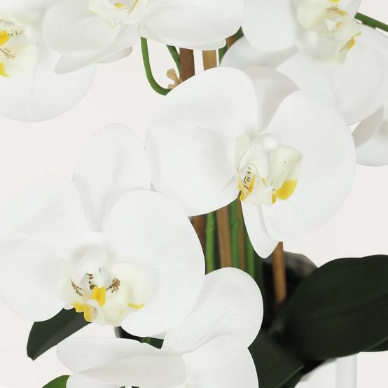 Ligne Deco - Orchidée artificielle toucher naturel 60cm Ligne Déco - Image 3