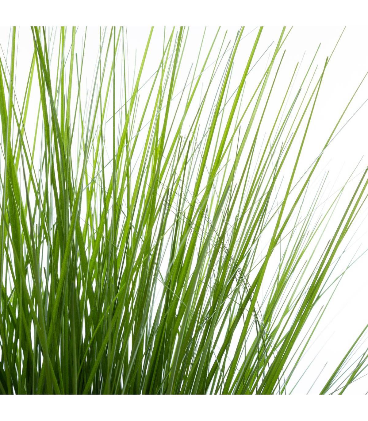 ​​​​​​​Plante artificielle ​​​​​​​Bouquet Herbes dans un Pot H 74 cm - Image 2