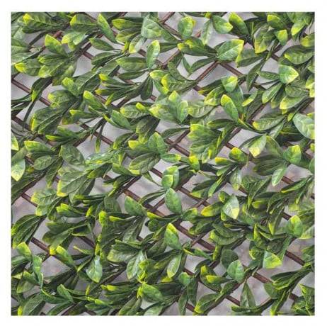 James Grass - France Green - Treillis extensible feuilles de laurier amande - Long 12 m, Hauteur 2 m - Image 2