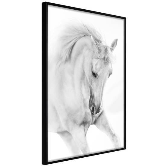 Affiche Murale Encadrée "Beauty in Motion" 30 x 42 cm Noir