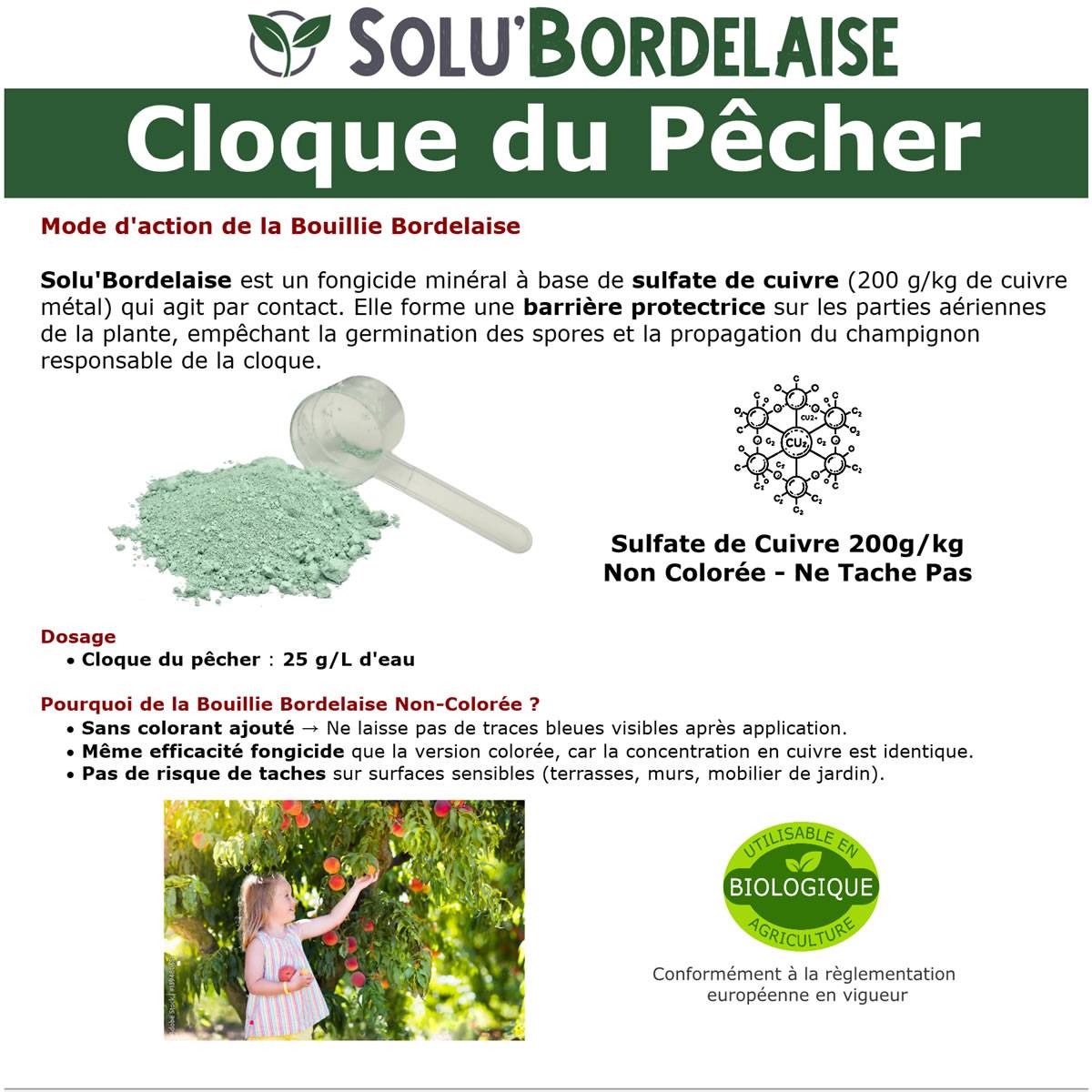 Solu'Bordelaise - Cloque du Pêcher - 500 g de Bouillie Bordelaise Non Colorée - Polyvalent - Sulfate de Cuivre 200 g/kg - Doseur Inclus - Image 3