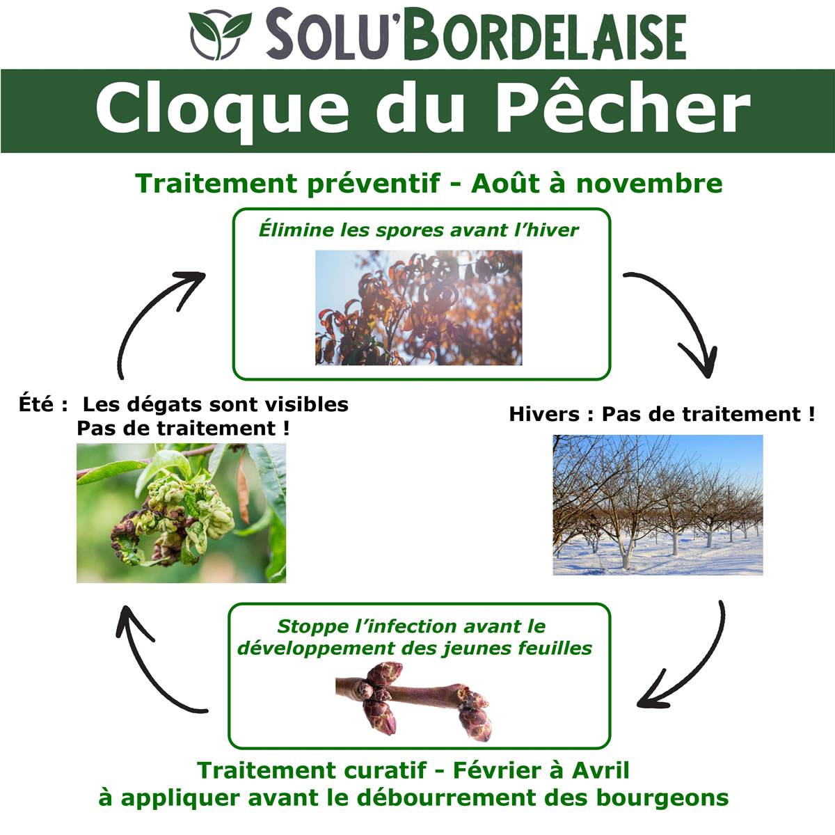 Solu'Bordelaise - Cloque du Pêcher - 500 g de Bouillie Bordelaise Non Colorée - Polyvalent - Sulfate de Cuivre 200 g/kg - Doseur Inclus - Image 2