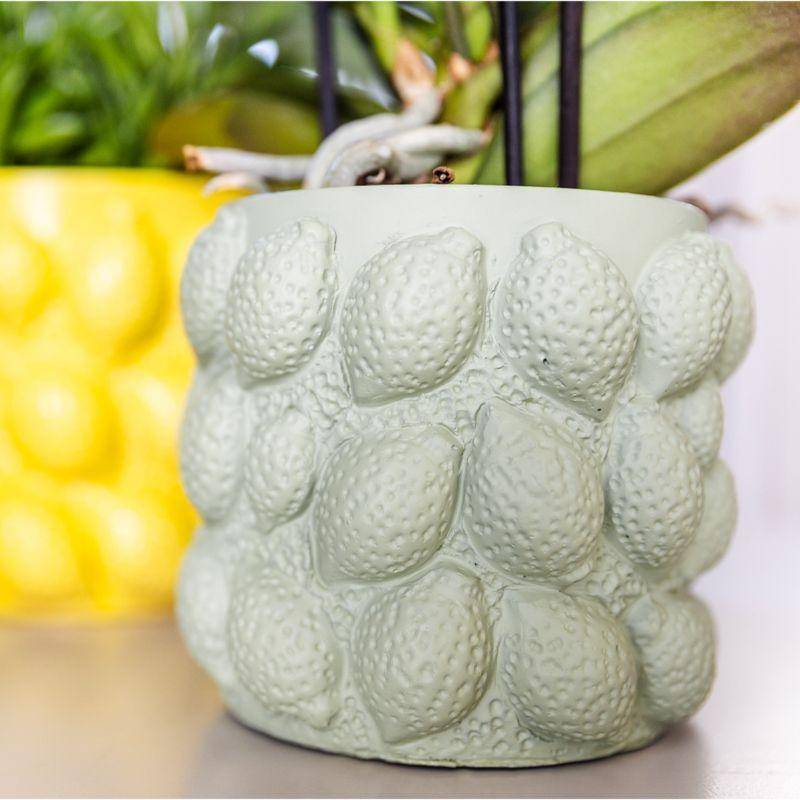 Pot décoratif en céramique verte - Citrus- La Green Touch - Image 2