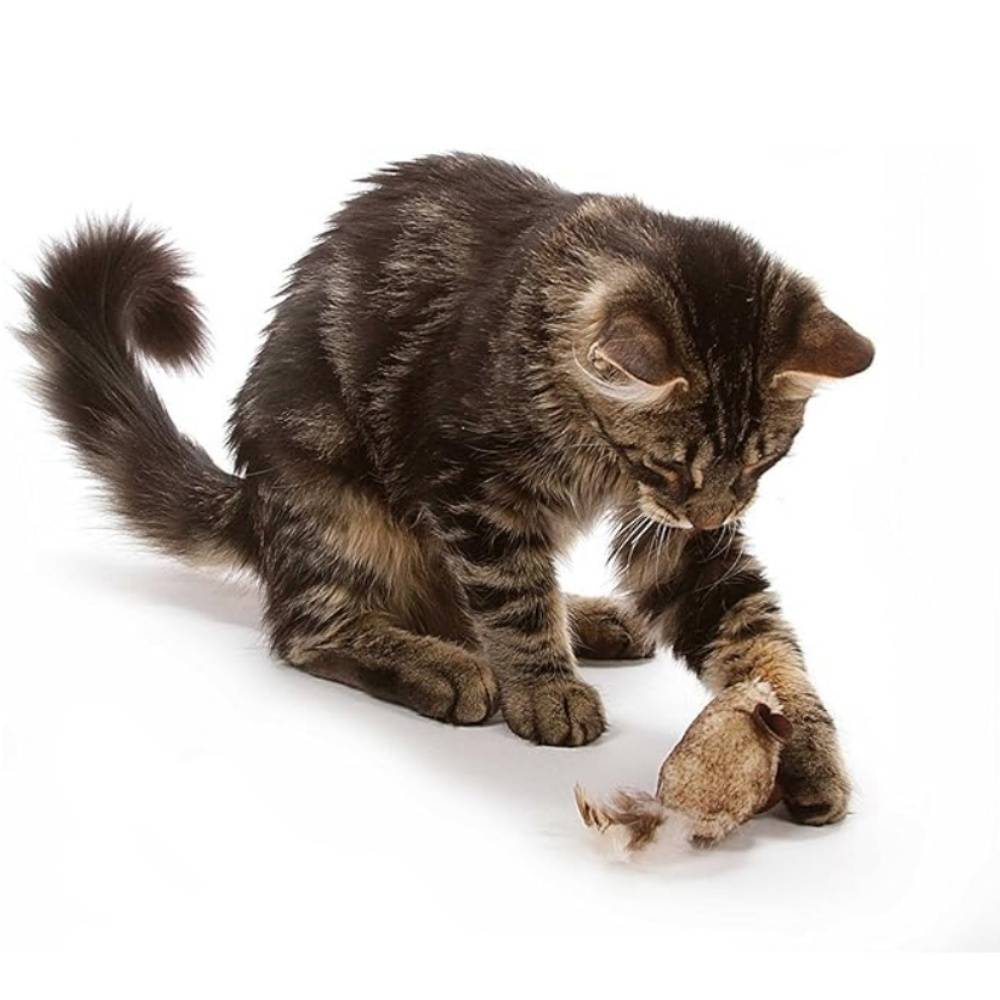 IntiMeg - Lot de 2 souris en peluche pour chat IntiMeg - Image 5