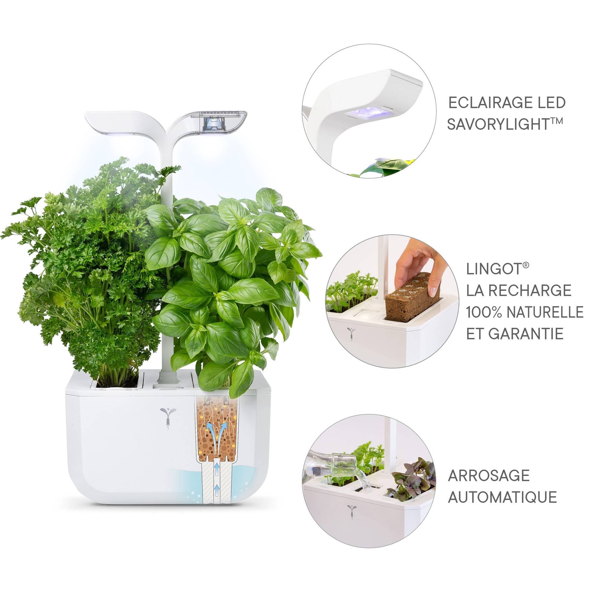 Veritable - Potager d'intérieur Autonome Véritable EXKY Classic - Livré avec 2 Lingots - Véritable - Image 5
