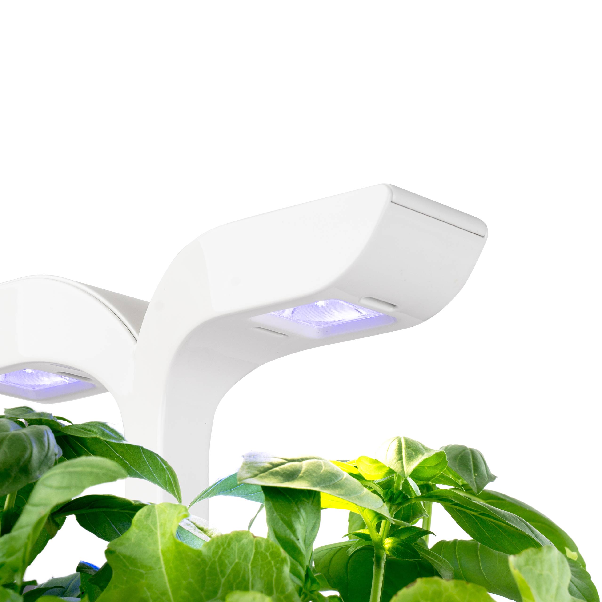 Veritable - Potager d'intérieur Autonome Véritable EXKY Classic - Livré avec 2 Lingots - Véritable - Image 3