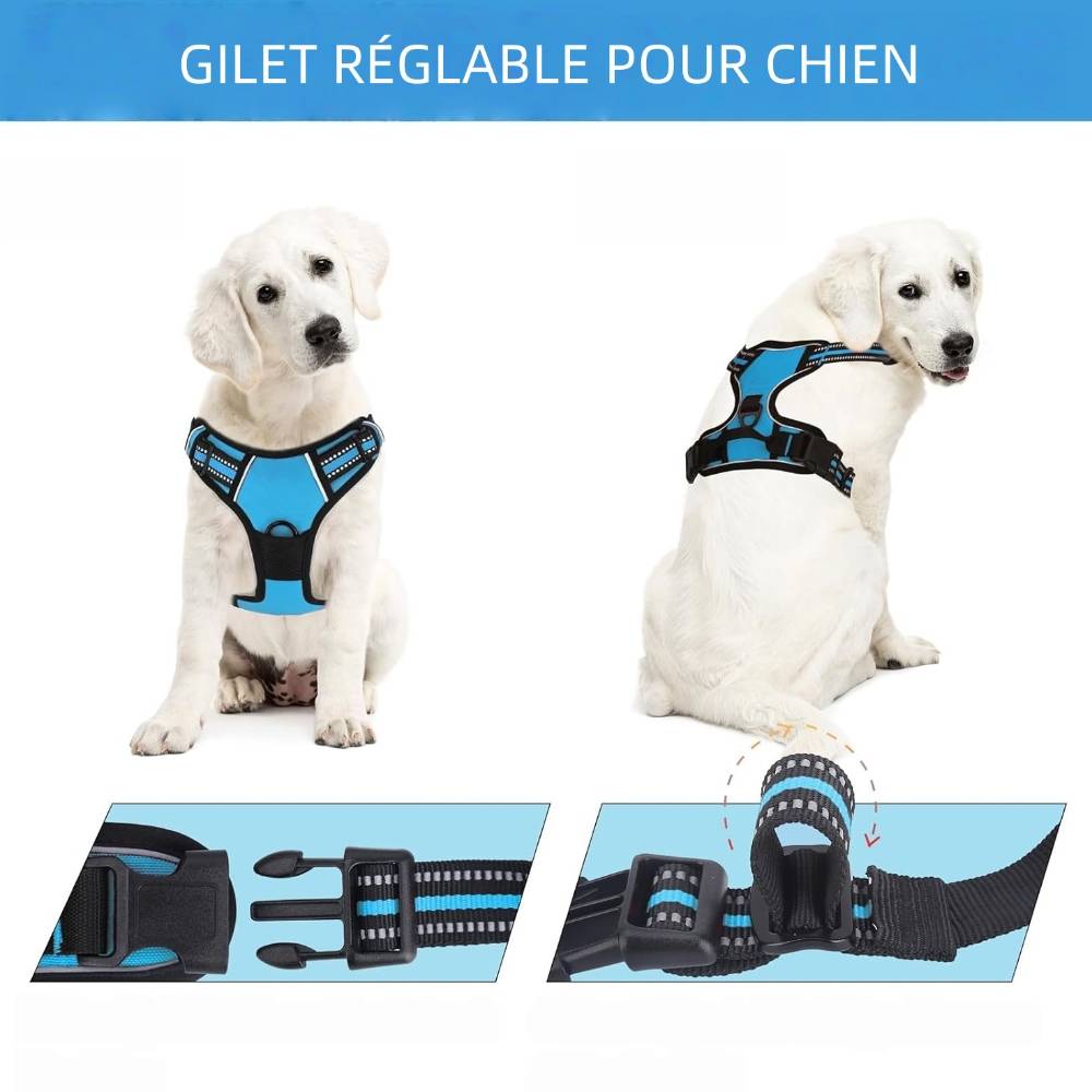 Harnais Anti Traction pour pour Moyen Chien s - IntiMeg - Image 2
