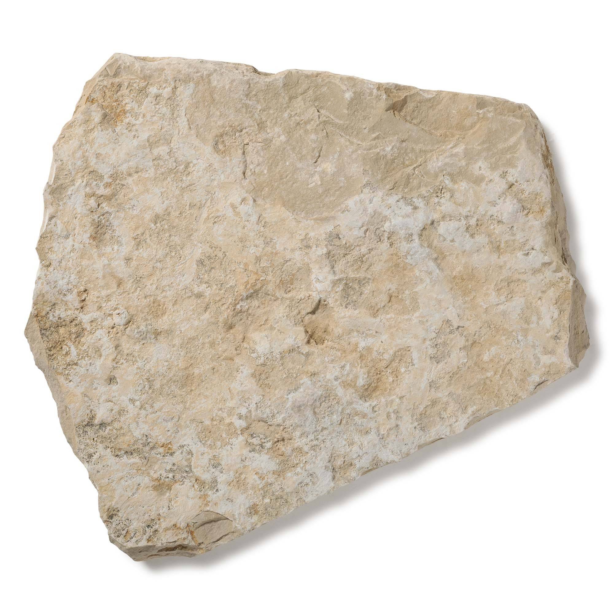 RO'MA Nature - Pas japonais Irrégulier Pierre de Bourgogne Pierre de Molay Beige 35-55x6 cm (à l'unité) - RO'MA NATURE - Image 4