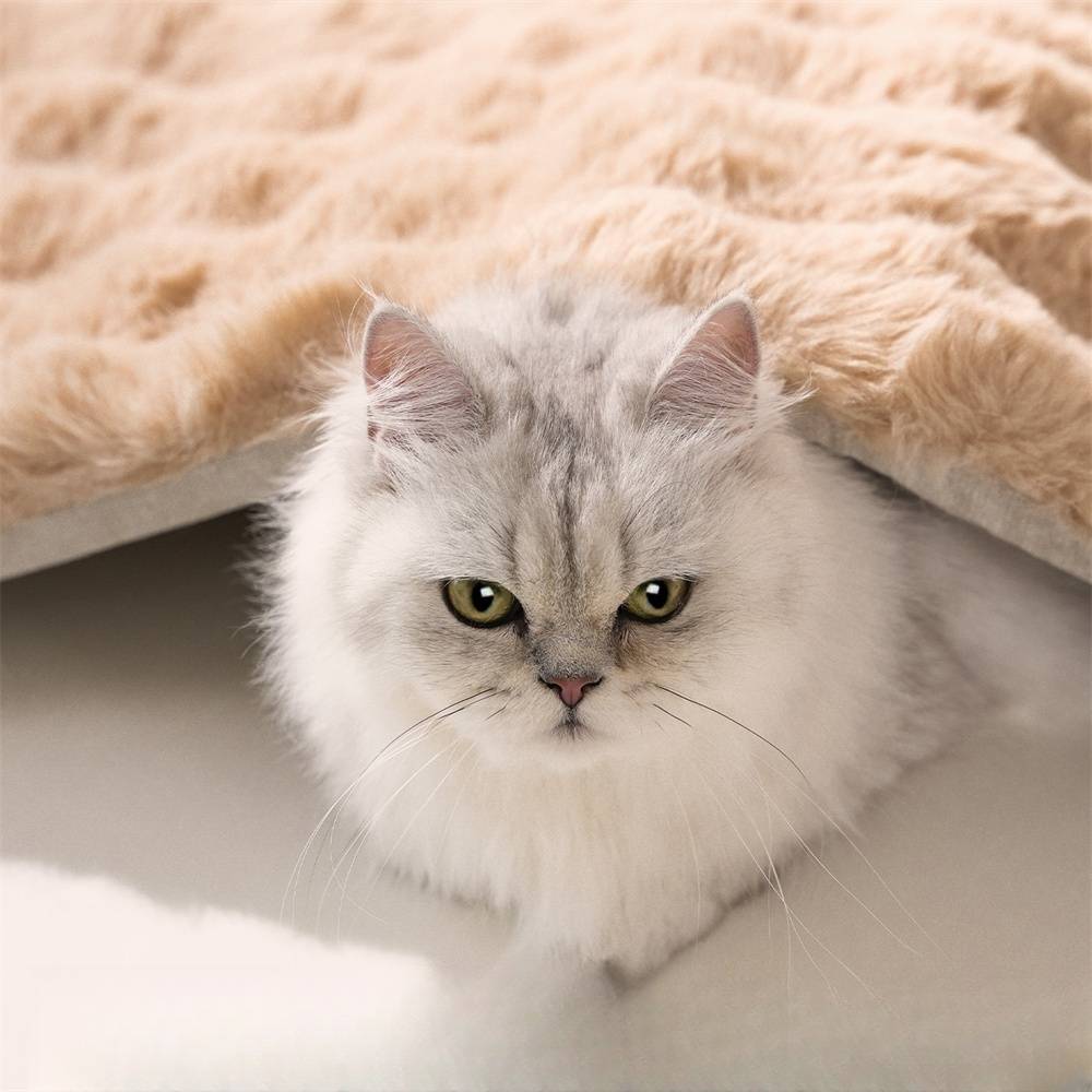 Sac de couchage chaud pour chat, dimensions 54x45 cm, pour automne et hiver, sécurisant Lytech - Image 6