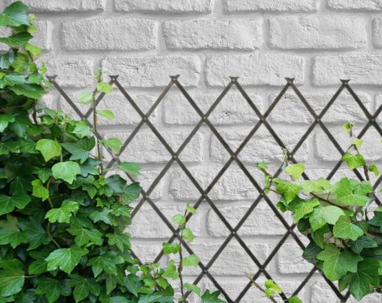 Treillis Bois| Gris| 100% Bois Pin| 0,5X1,5M| Gardien Des Plantes| Résistant| Decoration Jardin - Image 9