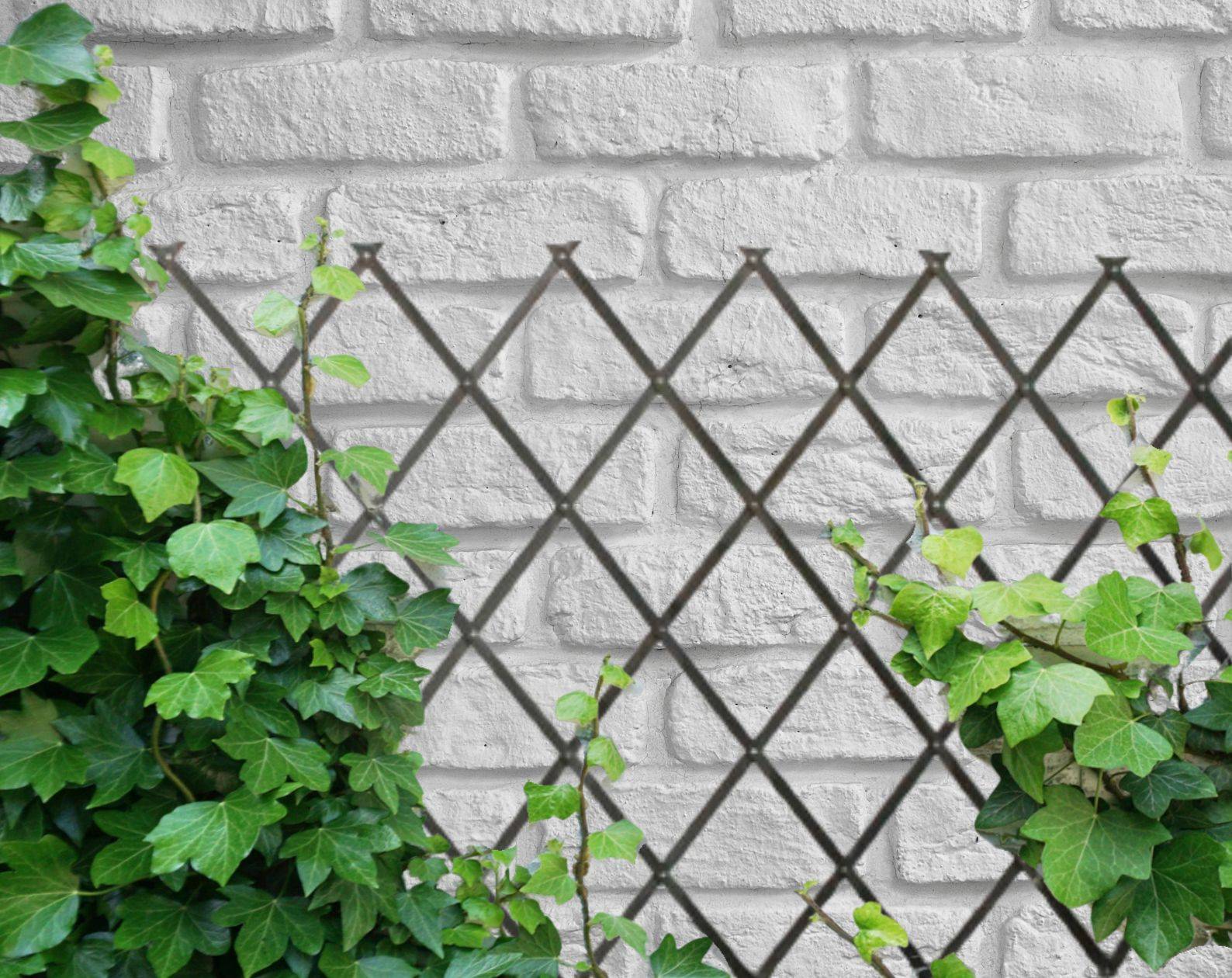 Treillis Bois| Gris| 100% Bois Pin| 0,5X1,5M| Gardien Des Plantes| Résistant| Decoration Jardin - Image 9