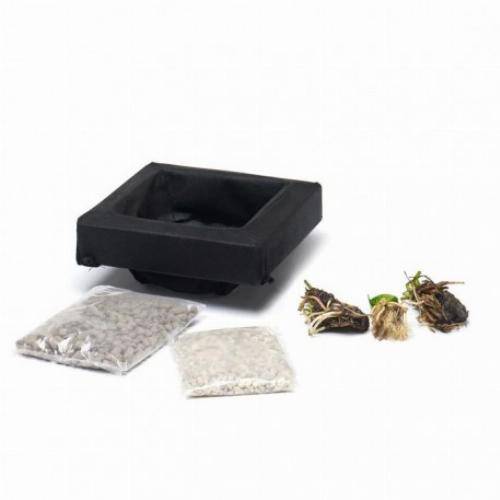 Kit panier flottant carré avec plantes aquatiques de bassin - Image 1