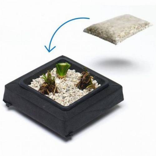 Kit panier flottant carré avec plantes aquatiques de bassin - Image 4