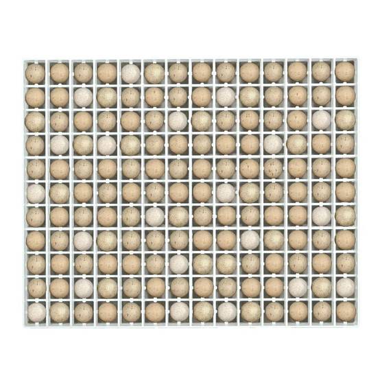 Autre - Panier d'incubation 154 oeufs de perdrix TR154 - Image 1