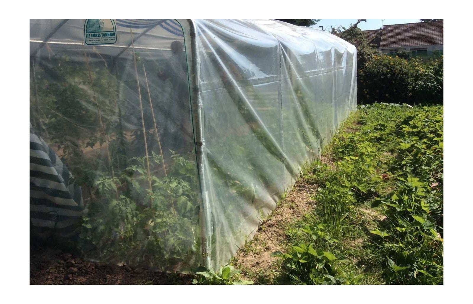Serre tunnel de jardin - 31,5m² -  3 x 10,5 m - pieds droits - haute résistance à petit prix - LES SERRES TONNEAU - Image 6