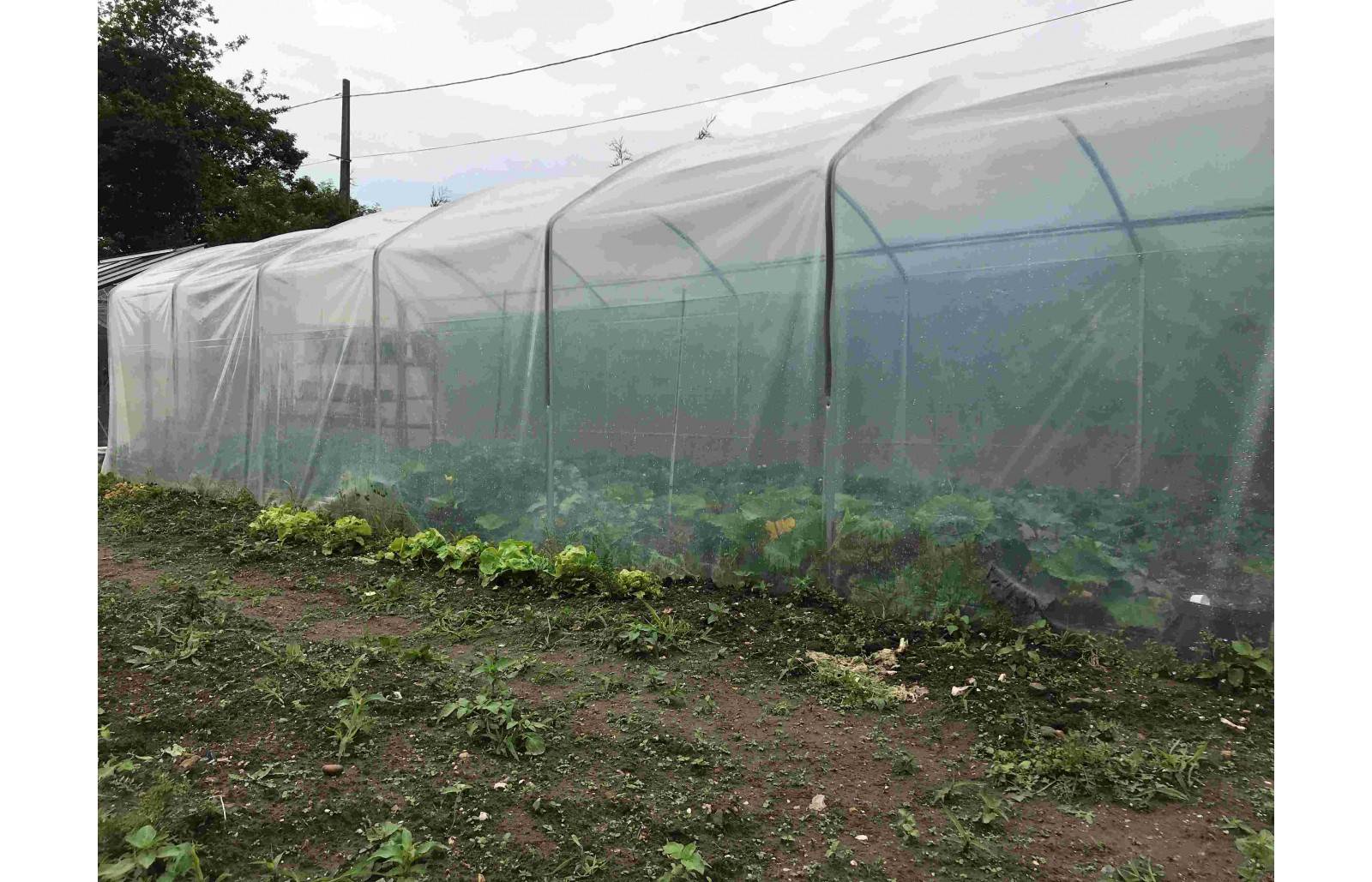 Serre tunnel de jardin - 31,5m² - 3 x 10,5 m - pieds droits - haute résistance à petit prix - LES SERRES TONNEAU - Image 7