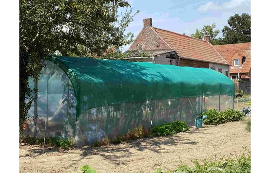 Serre tunnel de jardin - 31,5m² - 3 x 10,5 m - pieds droits - haute résistance à petit prix - LES SERRES TONNEAU - Image 3