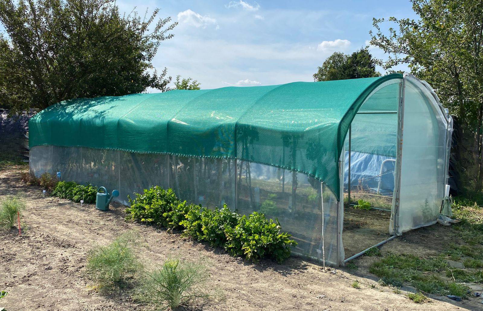 Serre tunnel de jardin - 31,5m² - 3 x 10,5 m - pieds droits - haute résistance à petit prix - LES SERRES TONNEAU - Image 1