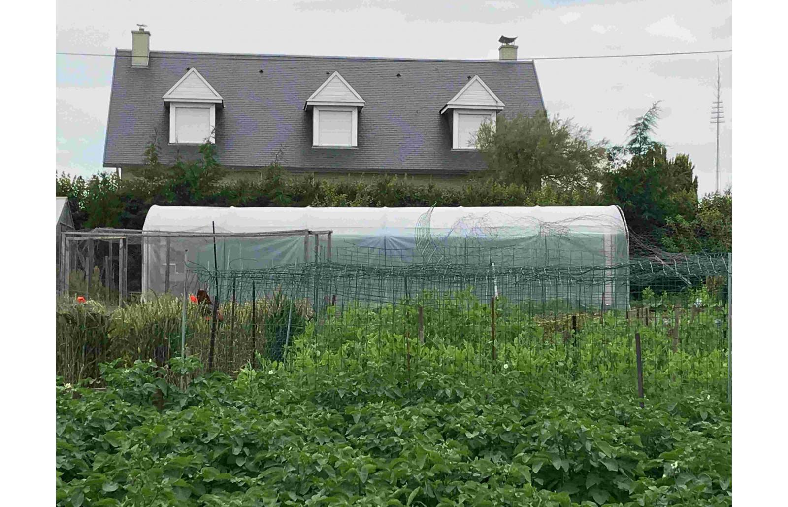 Serre tunnel de jardin - 31,5m² - 3 x 10,5 m - pieds droits - haute résistance à petit prix - LES SERRES TONNEAU - Image 4