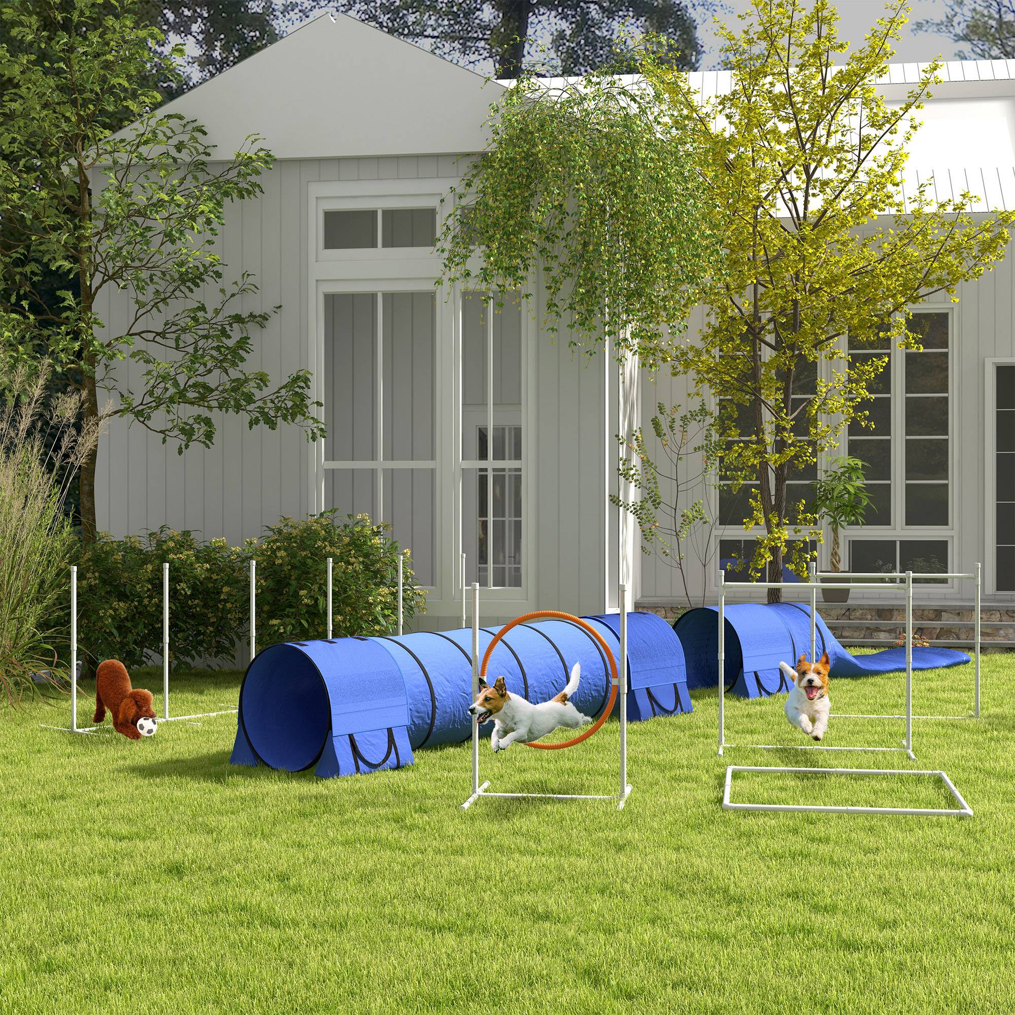 ComfortXL - Parcours agilité chien plastique 7 pièces bleu rouge blanc réglable extérieur - ComfortXL Outdoor Living - Image 4