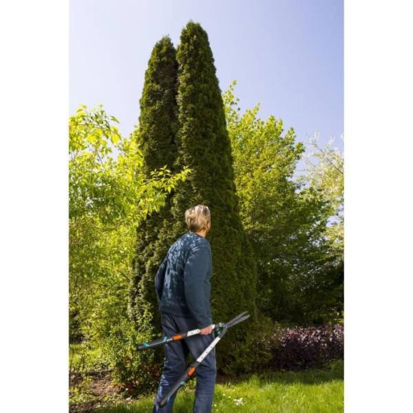 Cisaille a haies EasyCut GARDENA - Lames ondulées - Manches télescopiques - Garantie 25 ans - Image 3