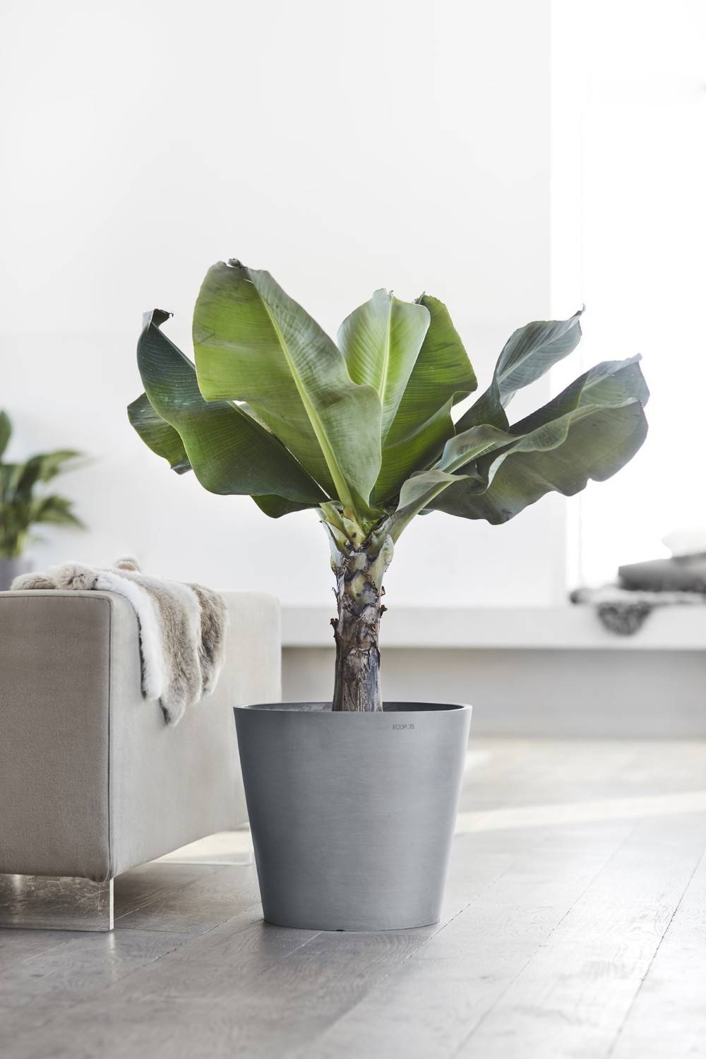 Ecopots - Pot Rond Amsterdam 40 Bleu Gris - Ø 40 x H. 35 cm - 28 L ECOPOTS - Image 5