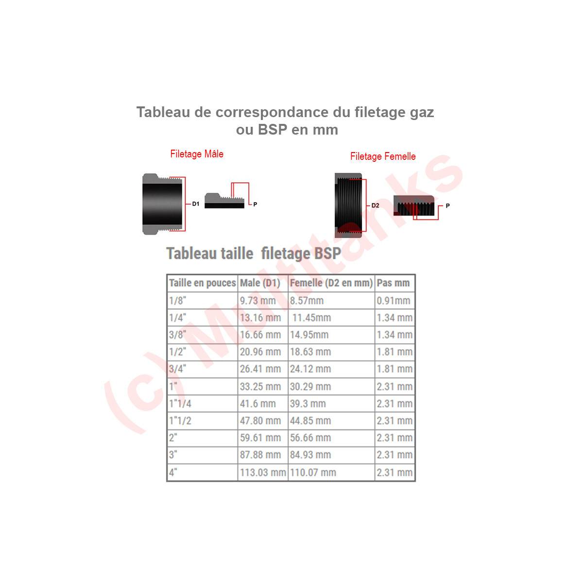 Codital - Té de Dérivation Laiton CW617N Taraudé | Raccordement PE Eau Potable - Ø A: 40mm | Ø B: 1'' - Image 4