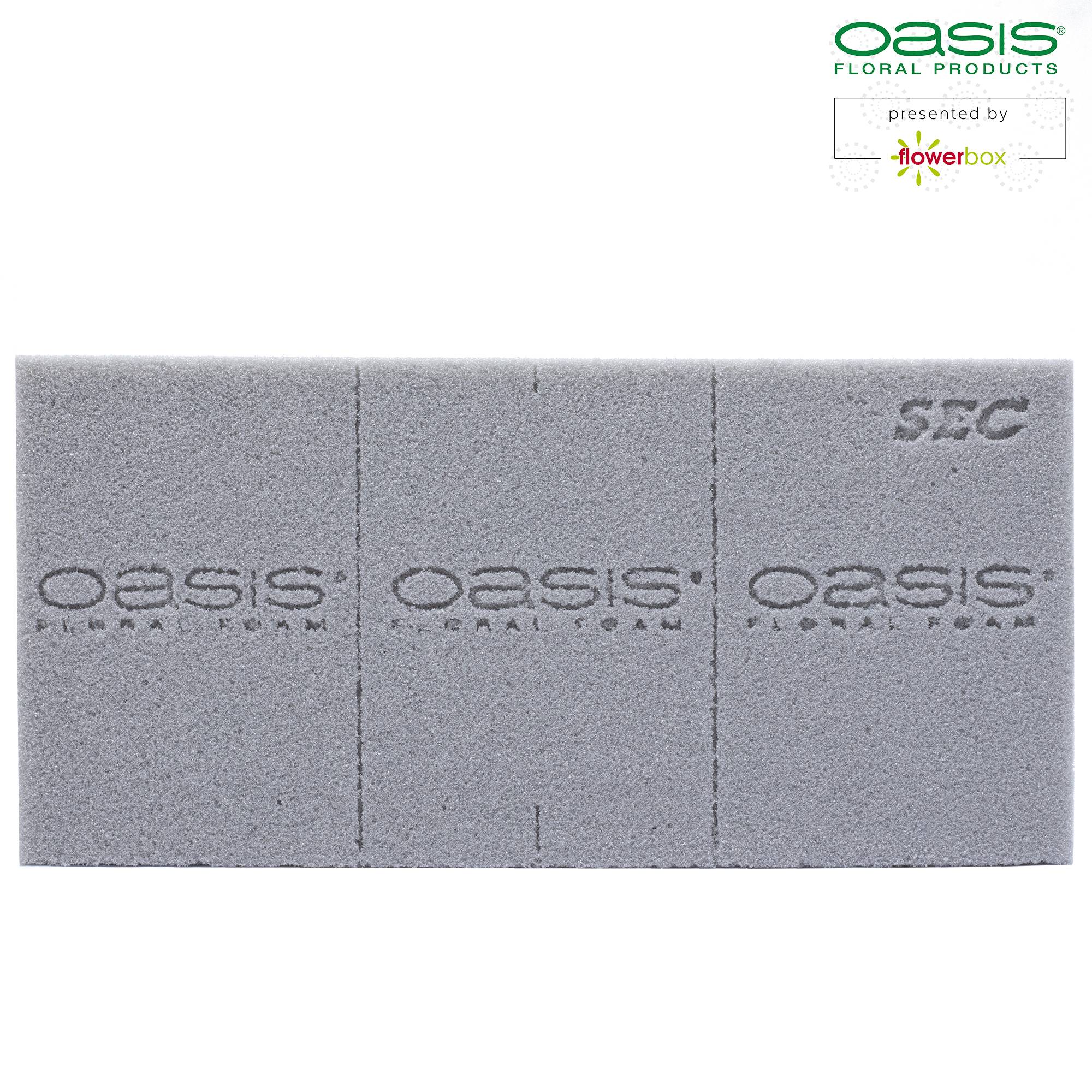 3x OASIS® SEC mousse de piquage pour arrangements de fleurs séchées - 23 x 11 x 3,6 cm - pour mariage, anniversaire, église, en forme de brique - Image 3