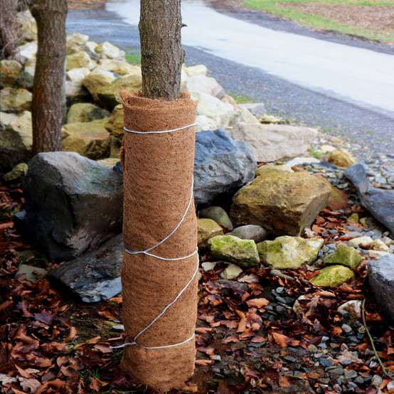 20m tapis de coco natte de protection hivernale natte de remblai natte en fibre de coco 800g/m² 0,75m de large - Image 6