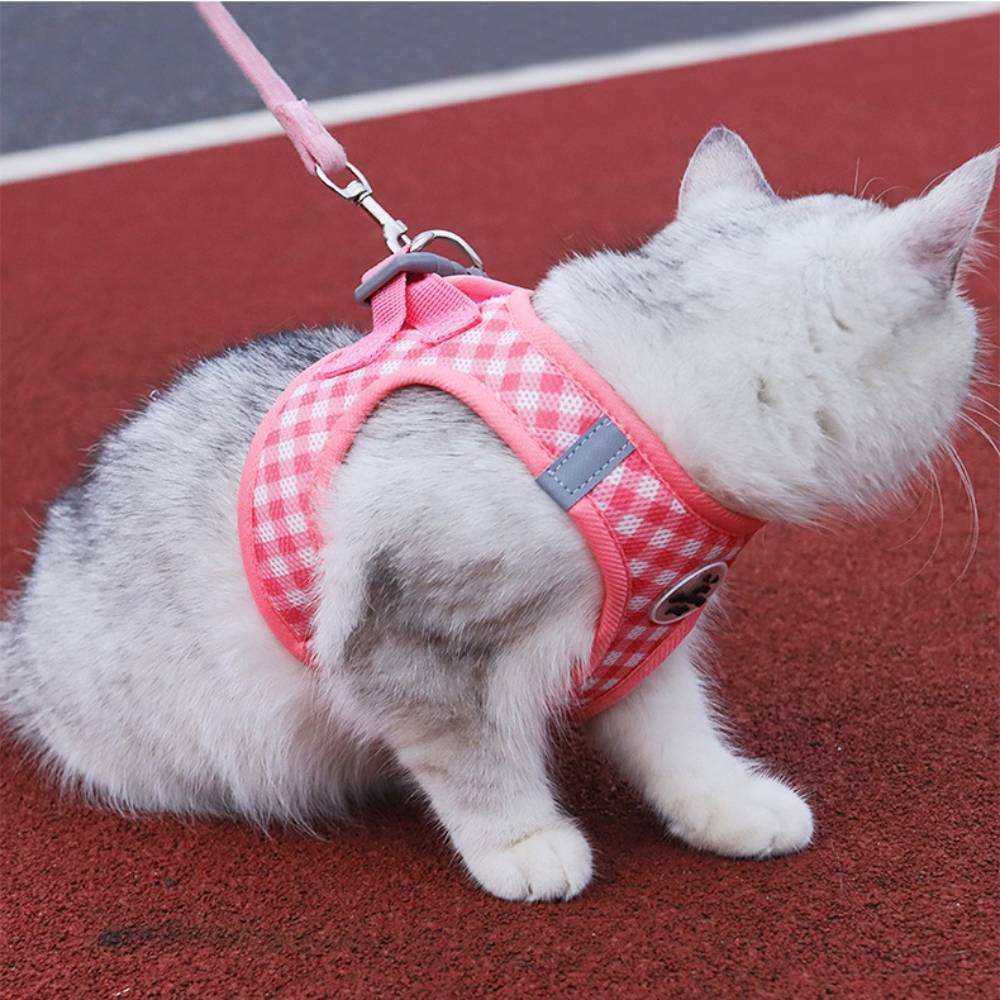 Ensemble harnais et laisse pour chat rose l - IntiMeg - Image 2